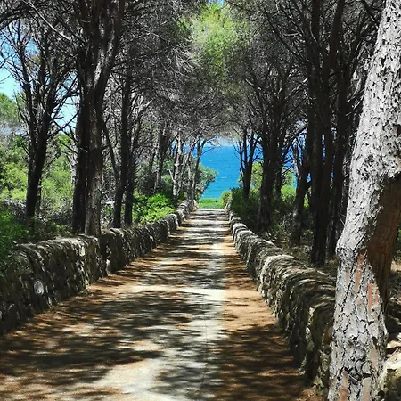 Casa Ruja - アパート *